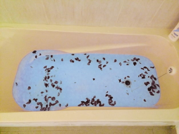 חדרים לפי שעה באזור נתניה 1